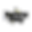 rocking with shay 3 outline 2.png