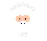 NOÉ CUIDADOR.png