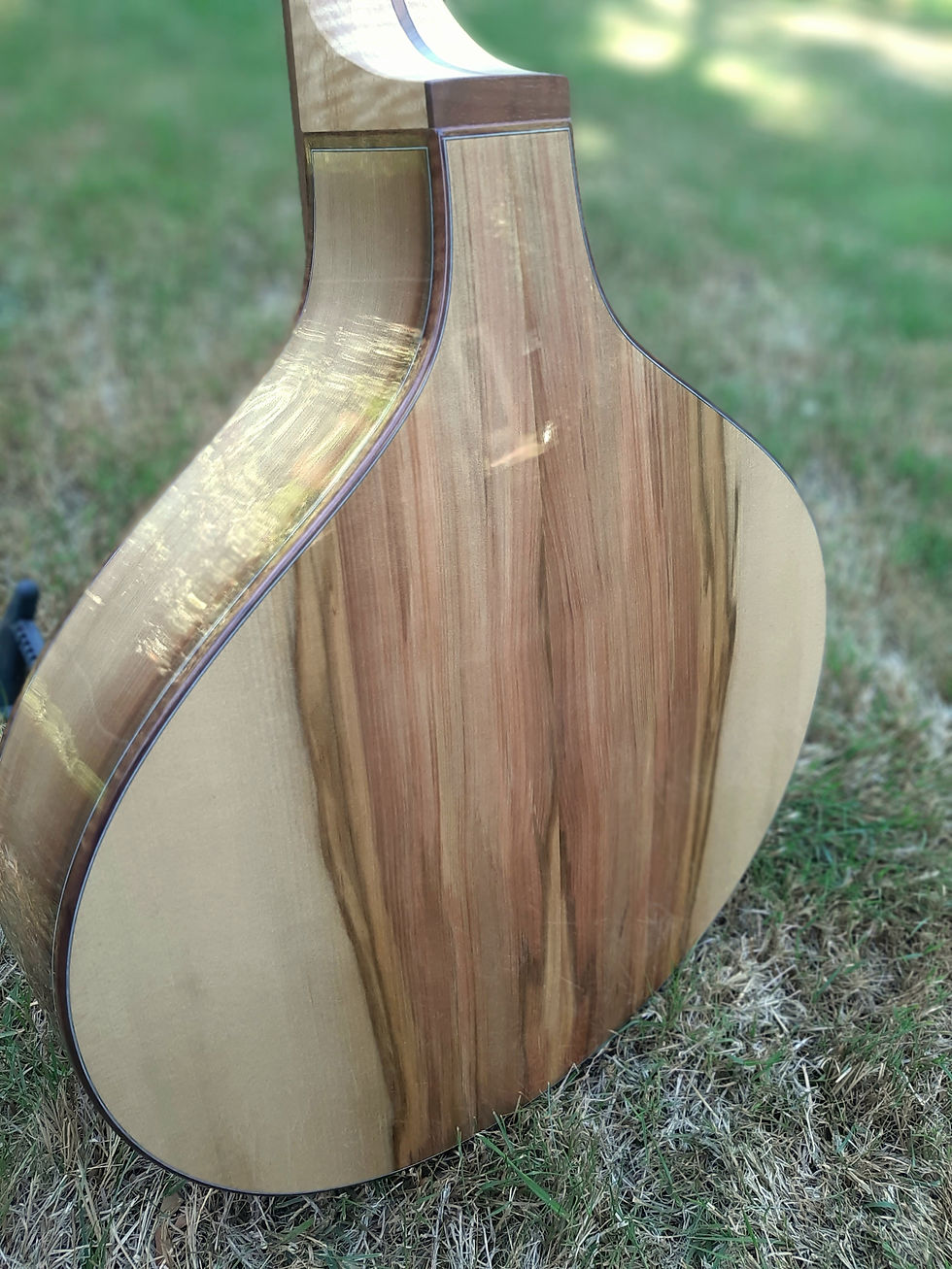 blackheart sassafras