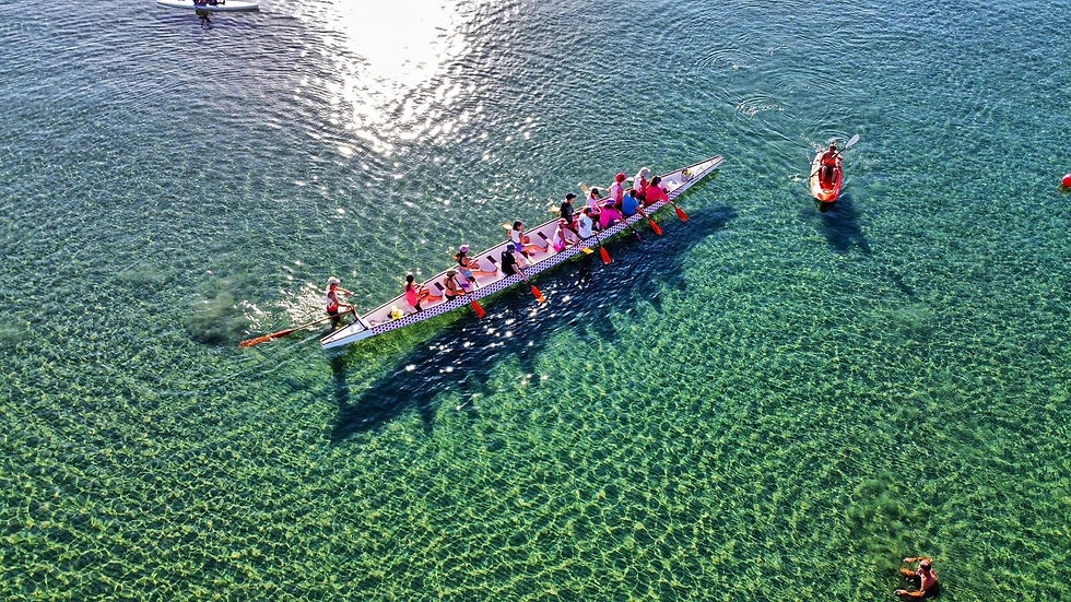 Wide angle view of a dragon boat team paddling in sync on calm waters