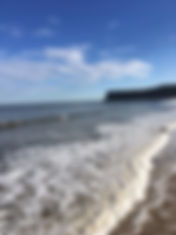 IMG_1215.jpeg