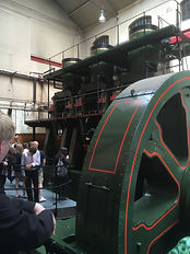 IMG_1113.jpeg