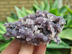 Grape Agate