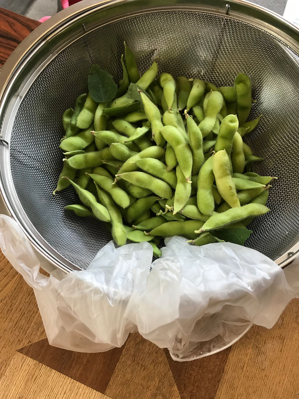 枝豆
