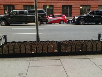 Tree fence