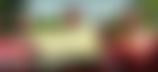 September 2014: A Note from Our CEO