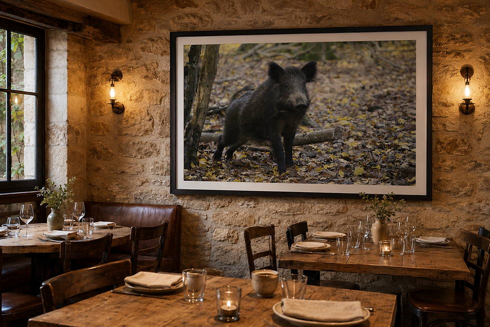 MARSE-GALLERY-VALLE-004