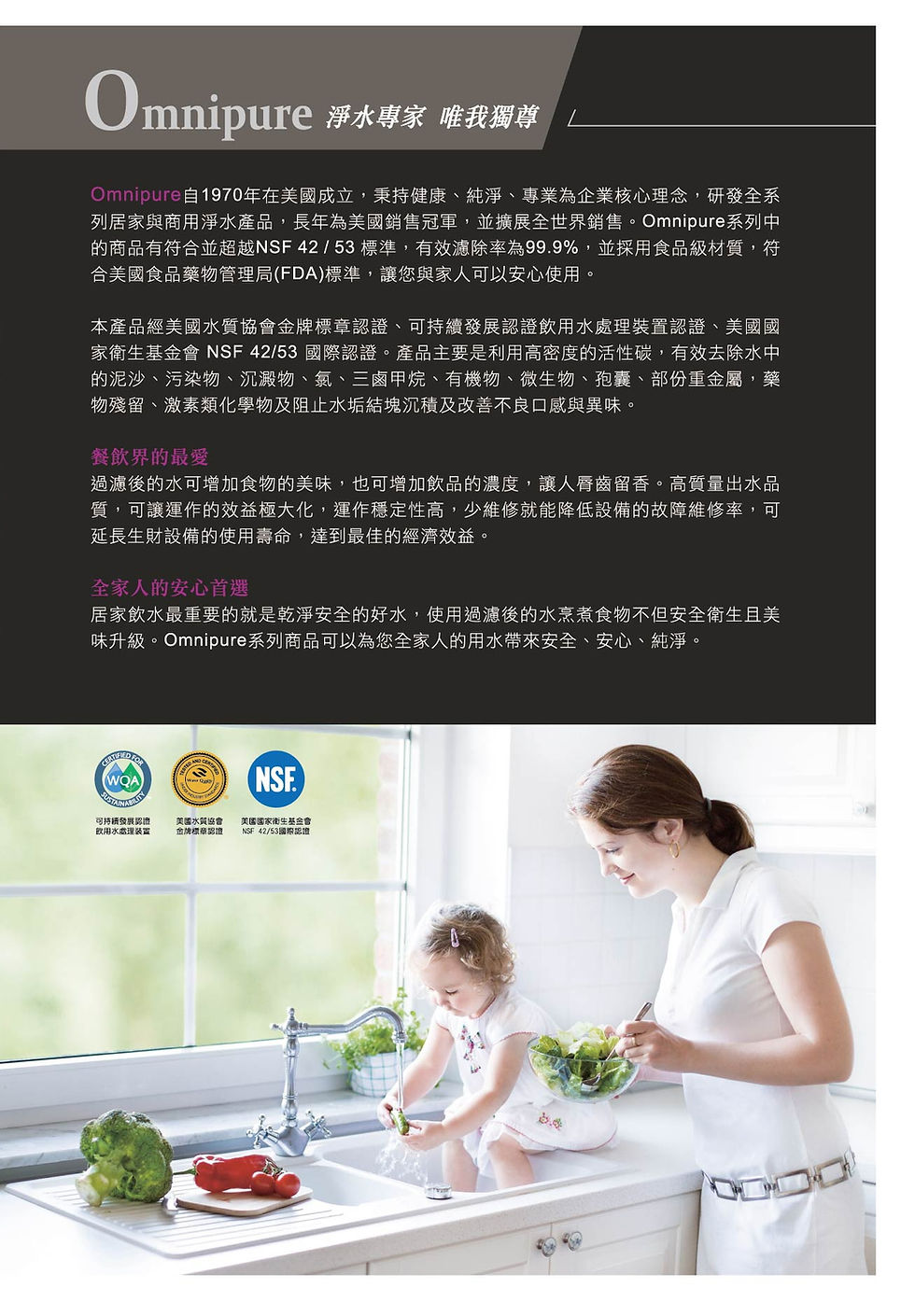 縮圖：OMNIPURE ELF安濾普 1M-LP 三效 活性碳+除鉛抑垢淨水器(不含鵝頸龍頭)