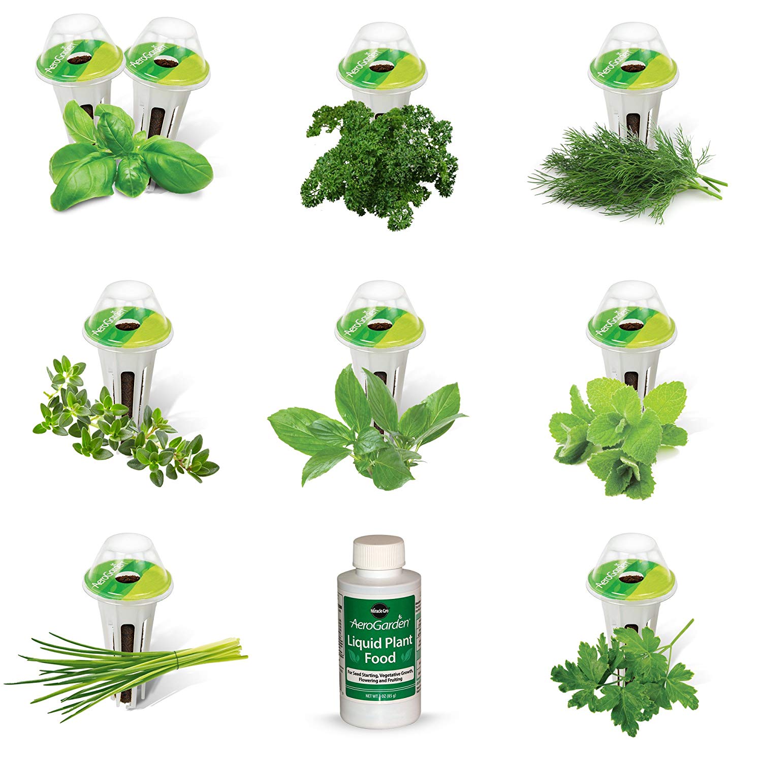 AeroGarden Gourmet Herb Seed Pod Kit 9 p