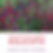 QuickFix 7-30-19 IG