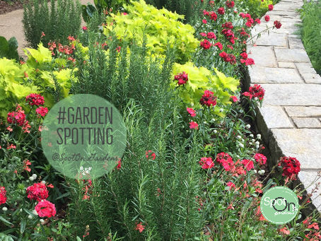 Follow My GardenSpotting Adventures