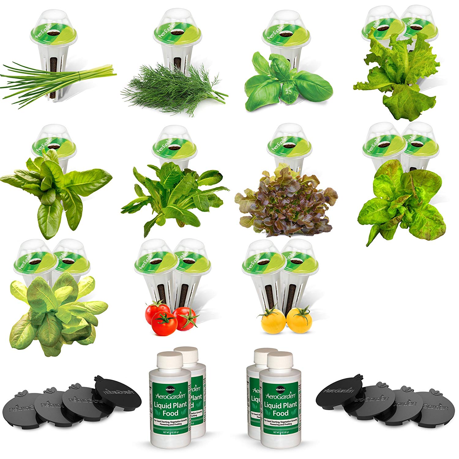AeroGarden Salad Bar Mix Seed Pod Kit 24
