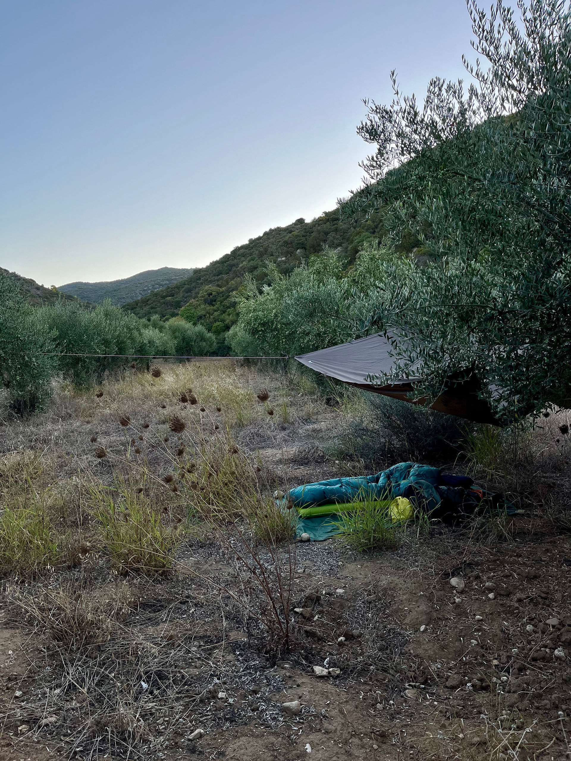 Sleeping place with tarp in the olive groves in Greece at a nature therapy retreat