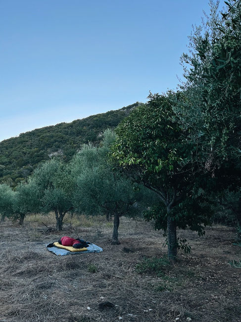 Sleeping place with sheep sack in the olive groves in Greece at a nature therapy retreat