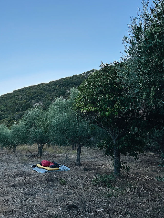 Sleeping place with sheep sack in the olive groves in Greece at a nature therapy retreat