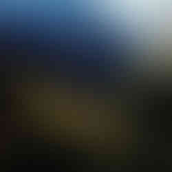 Close-up of overlapping layers of forest, mountains, and atmospheric landscape in the morning light.