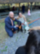 A couple posing with their dogs at a dog-friendly wedding with their loyal dogs by their side, symbolizing true companionship