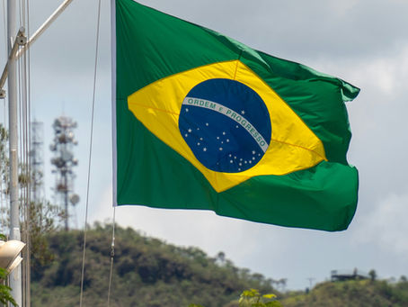 Brazil moves to ban foie gras sales: another precedent for welfare standards that don’t stop at the border