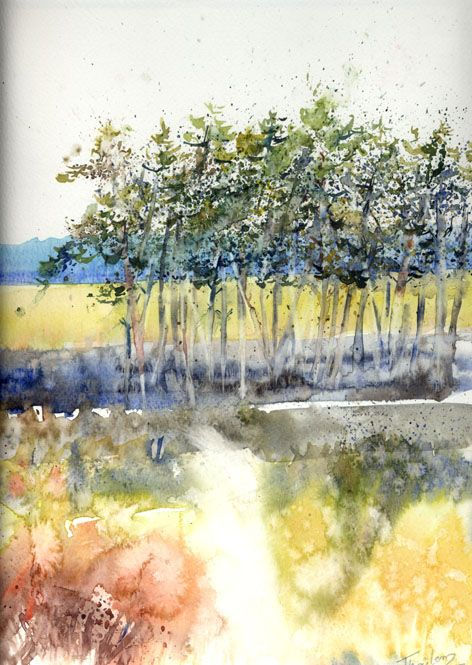 Landes