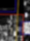 03-Letterchamps-web.jpg
