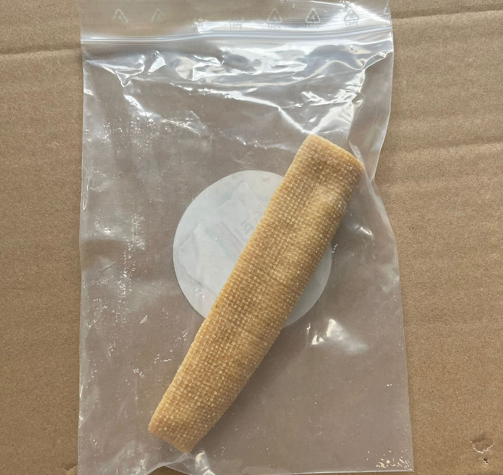 KauKäse Stange