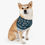 Thumbnail: Philadelphia Eagles Dog Collar Bandana - Custom Pet Name