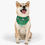 Thumbnail: New York Jets Dog Collar Bandana - Custom Pet Name