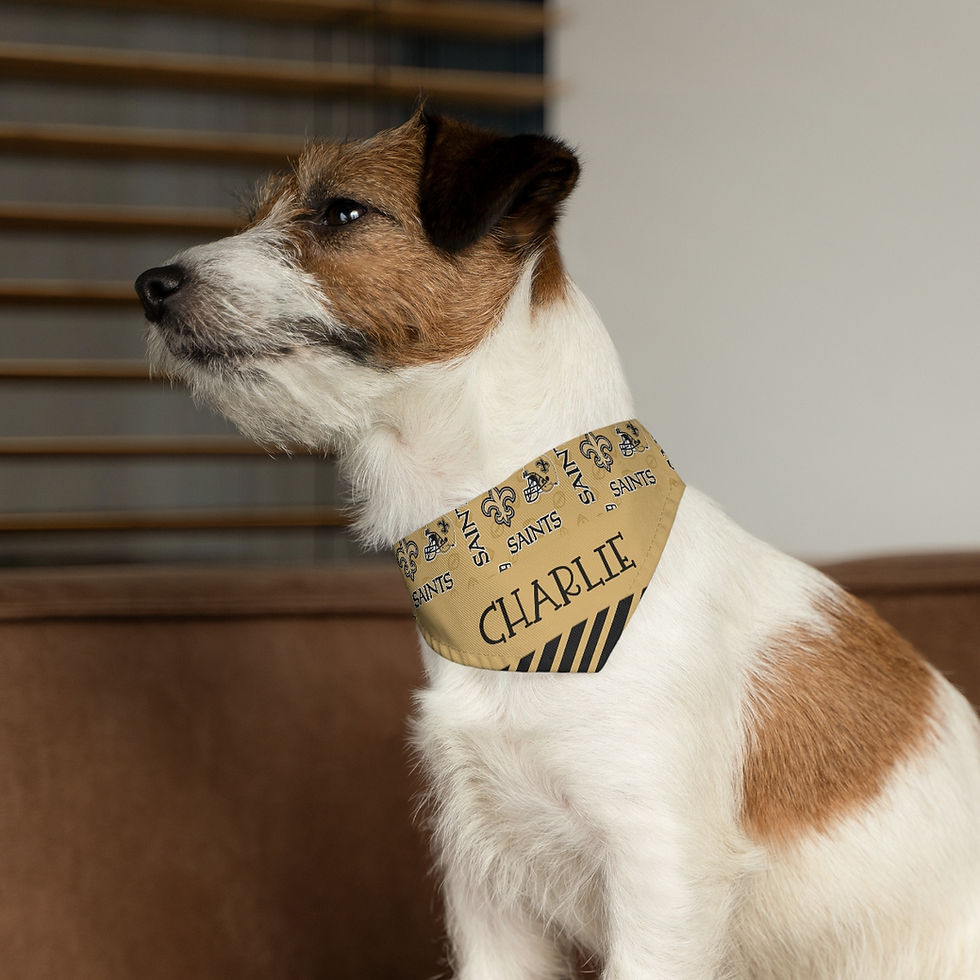 Thumbnail: New Orleans Saints Dog Collar Bandana - Custom Pet Name
