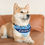 Thumbnail: Tampa Bay Rays Dog Collar Bandana - Custom Pet Name