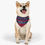 Thumbnail: Atlanta Braves Dog Collar Bandana - Custom Pet Name