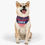 Thumbnail: Boston Red Sox Dog Collar Bandana - Custom Pet Name