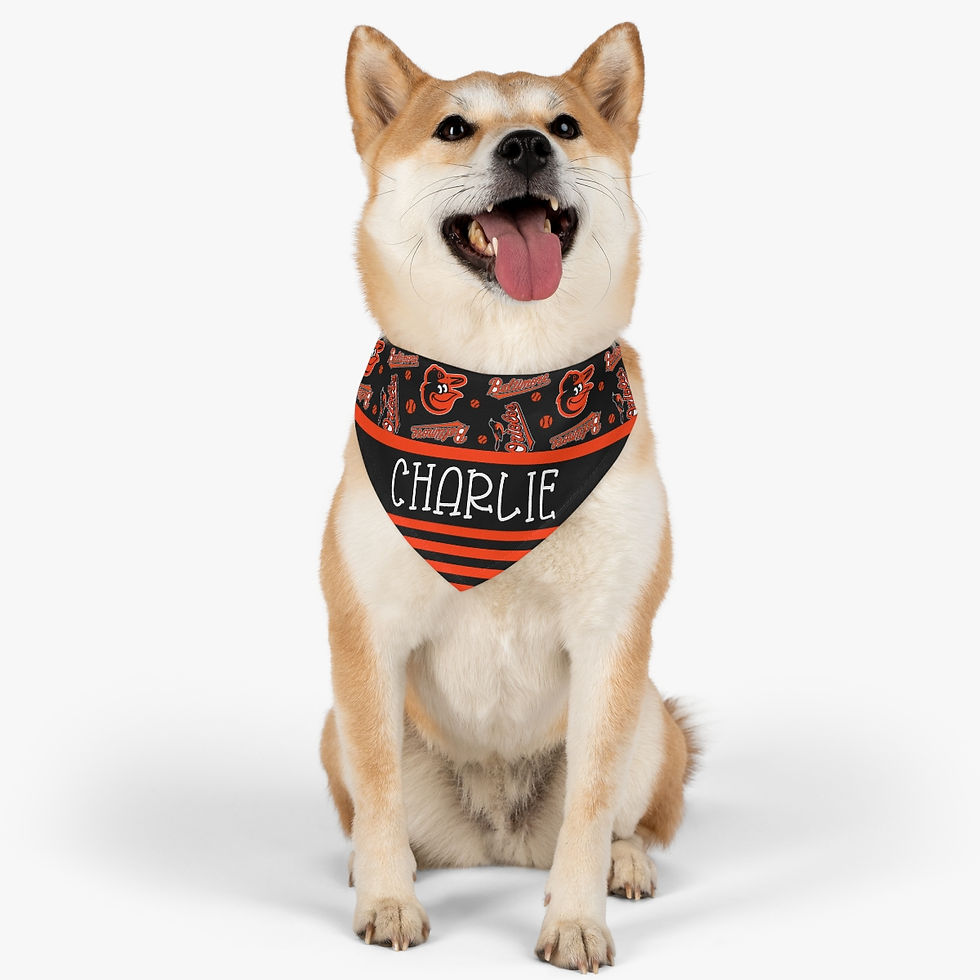 Thumbnail: Baltimore Orioles Dog Collar Bandana - Custom Pet Name