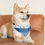 Thumbnail: Los Angeles Dodgers Dog Collar Bandana - Custom Pet Name