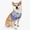 Thumbnail: Colorado Rockies Dog Collar Bandana - Custom Pet Name