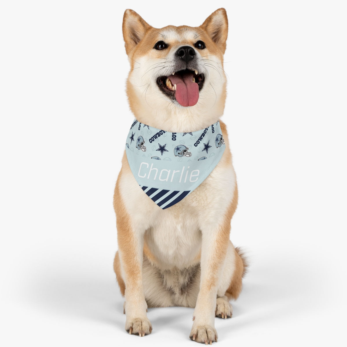 Dallas Cowboys Dog Collar Bandana - Custom Pet Name