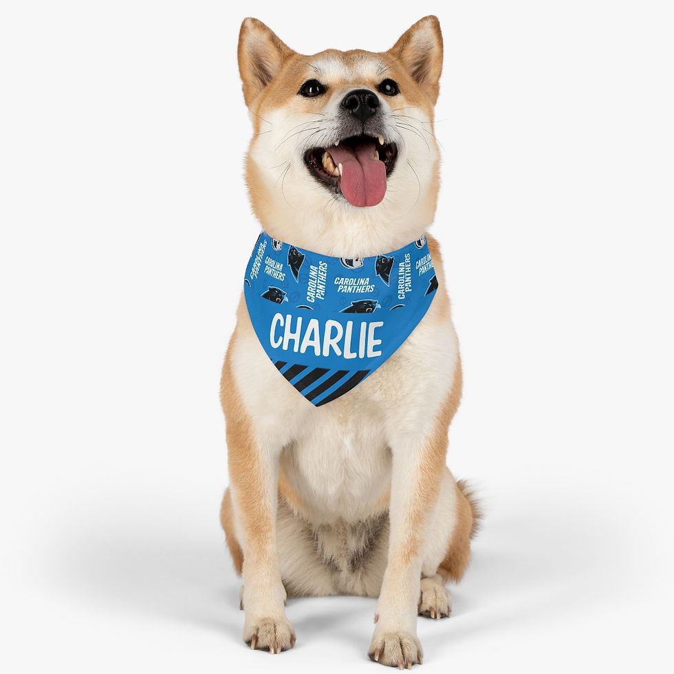 Thumbnail: Carolina Panthers Dog Collar Bandana - Custom Pet Name 