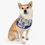 Thumbnail: Kansas City Royals Dog Collar Bandana - Custom Pet Name