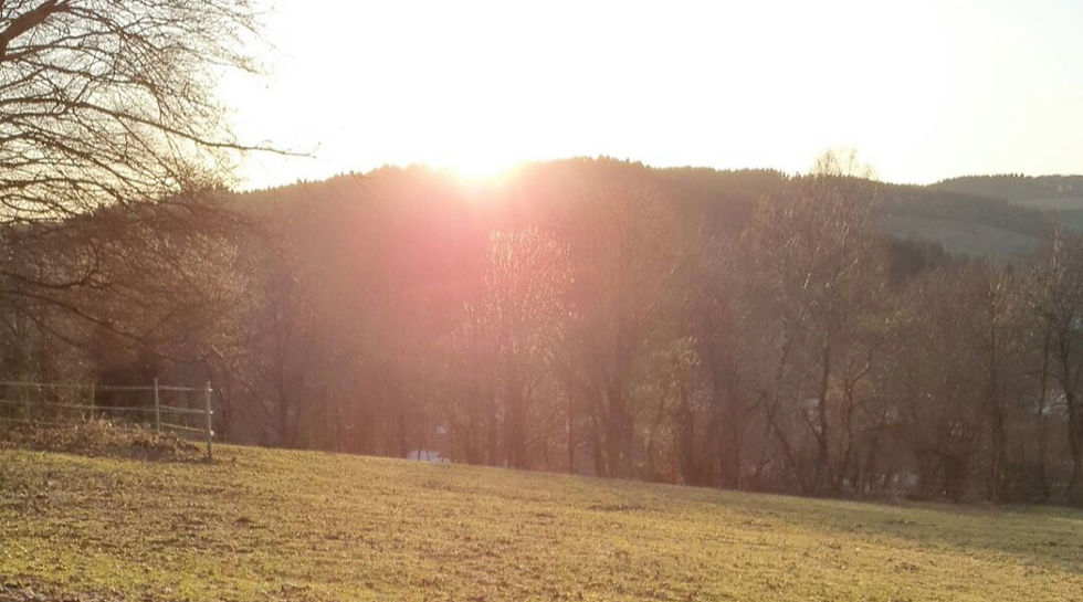 Sonnenuntergang auf der Adahy Ranch mit Ausblick über die Weide, Heimat unserer NFQHA Foundation Quarter Horses