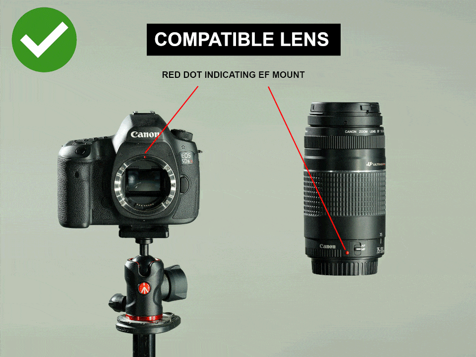 Figure 1.4.1 - EF Mount Type