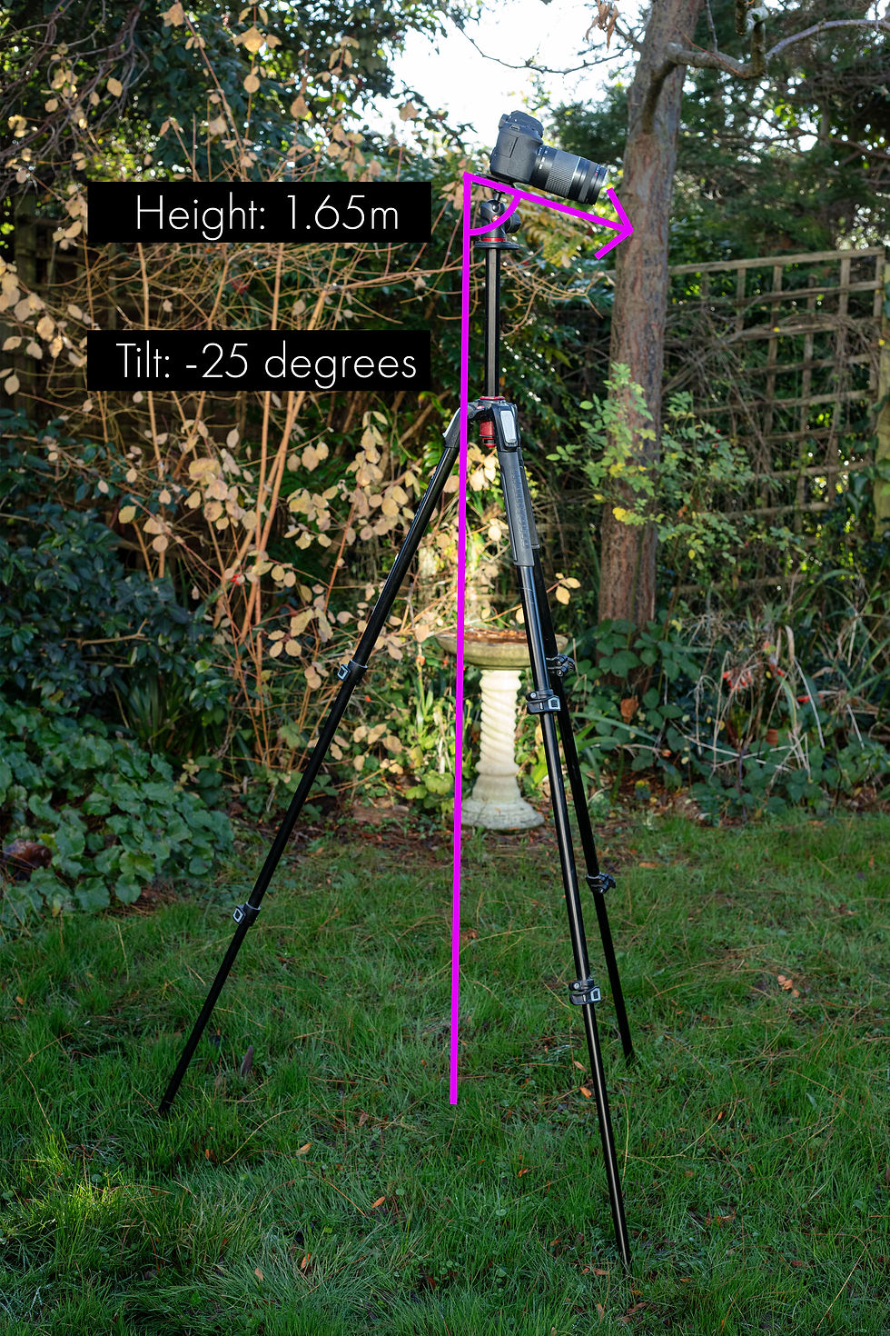 Figure 2.2
