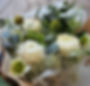Ranunculus background.jpg