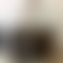 欧州、ドイツからお越しのお客様