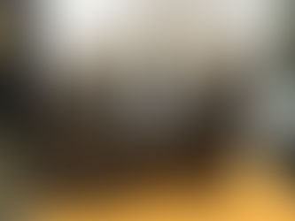 LOUIS VUITTON NEVERFULL MM Monogram M40995　2017Model