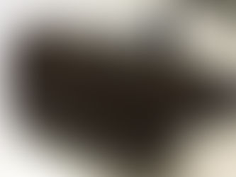 LOUIS VUITTON GERONIMOS N51994