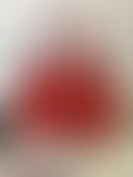 COACH 2WAY LERTHER BAG RED