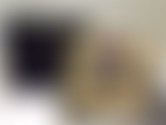 GUCCI GGTwoFold WALLET Brawn&Green