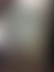 アメリカからお越しのお客様、