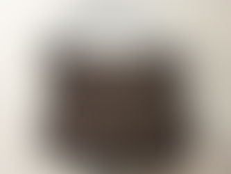 LOUIS VUITTON COSMETIC PORCH Damie