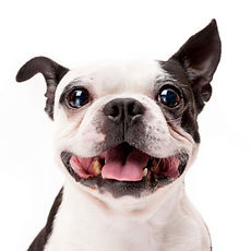 istockphoto-483531287-170667a.jpeg