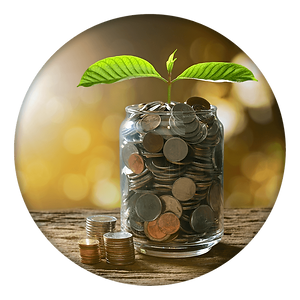 ROI CALC Image OPT.png